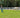 45-Foot Ground Training Line Lariat - Lasso 13,7 meter GROEN