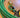45-Foot Ground Training Line Lariat - Lasso 13,7 meter GROEN